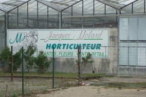 horticulture horticulture